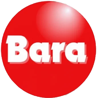 PT. BARA RIZKI PRAKARSA